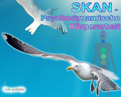 SKAN, die psychodynamische Körperarbeit als Unterstützung der Systemischen Aufstellung und des Coachings - Praxis für Laserohrakupunktur und Veränderungscoaching - www.laser-ohr-akupunktur.ch SKAN - Psychodynamische Körperarbeit als Unterstützung der Systemischen Aufstellung und des Coaching - Praxis für Laserohrakupunktur und Veränderungscoaching - www.laser-ohr-akupunktur.ch